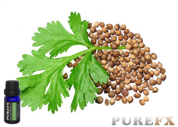 Coriander Essential Oil