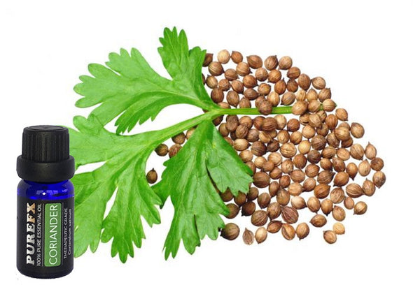 Coriander Essential Oil