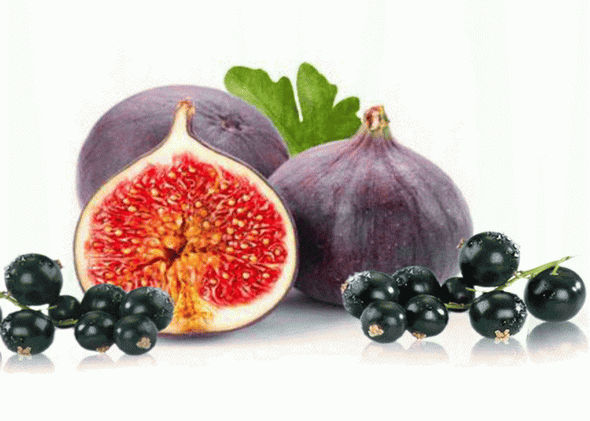 Fig-Cassis_S228A0AZS8OZ.png