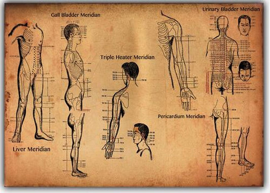 Human-Acupuncture-Points-Art-Wall-Decor-Silk-Print-Poster_S8IEFK3N64VP.jpg