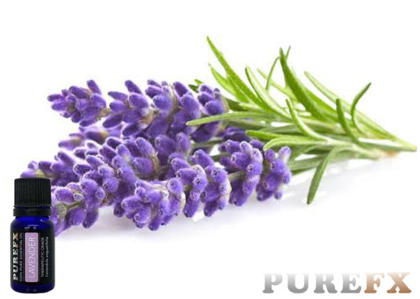 Lavender Essential Oil