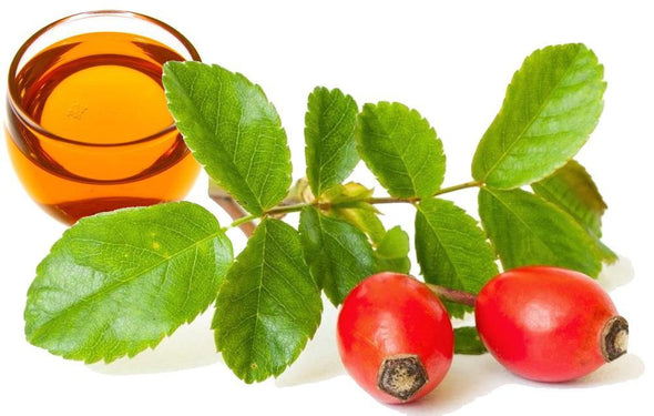 Rosehip-oil_RVY3DX1JQDZO.jpg