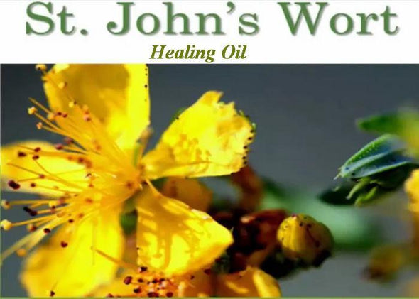 St_Johns_Wort_oil_SMLIG65X5DYW.JPG