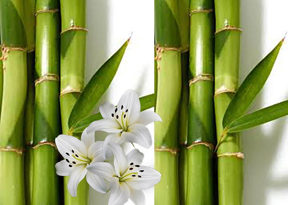 Bamboo & White Lily Fragrance Oil