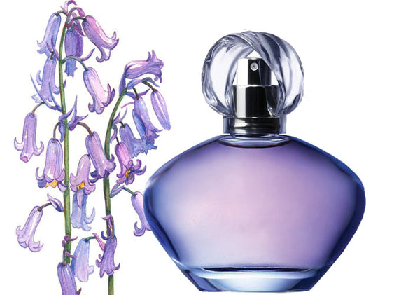 Wild Bluebell's ( Type ) Fragrance Oil