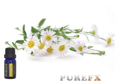 Chamomile (Roman) Essential Oil