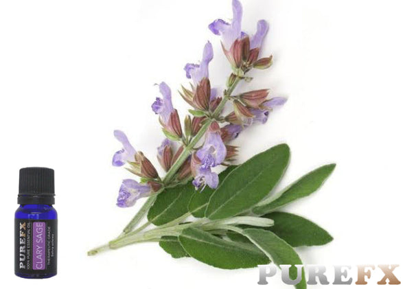 Clary Sage Essential oil
