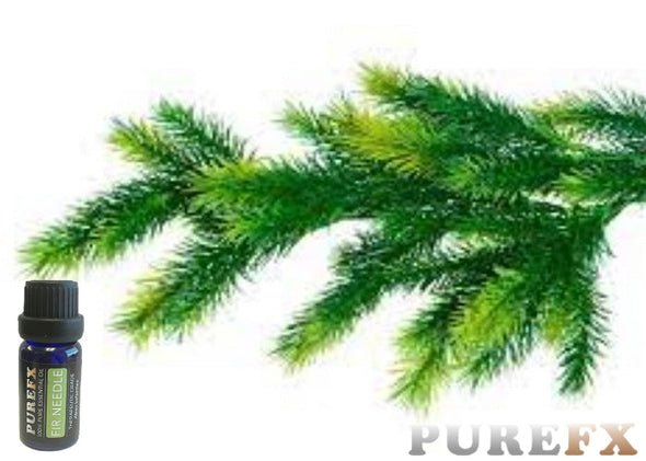 Fir Needle Essential Oil