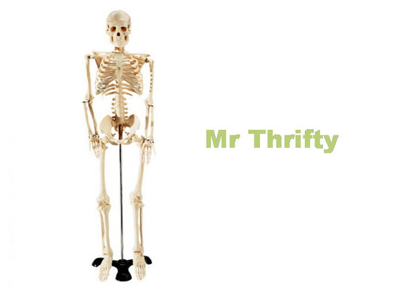 Skeleton 86cm Mr Thrifty