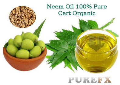 neem-oil_S6YA6ZD831HQ.JPG