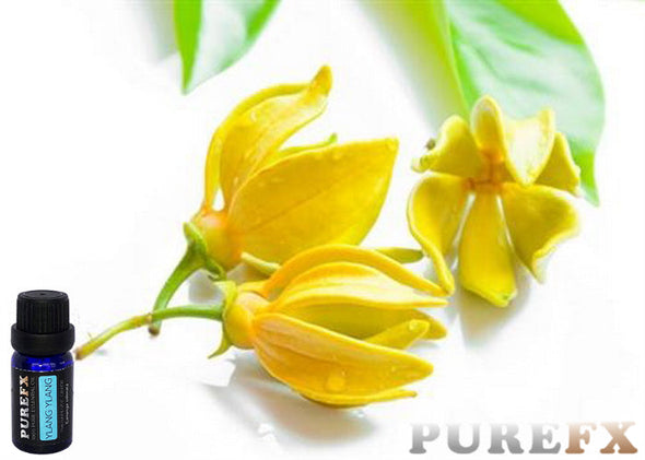 Ylang Ylang Essential oil